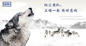 国产色无码精品视频国产麻豆的团队精神